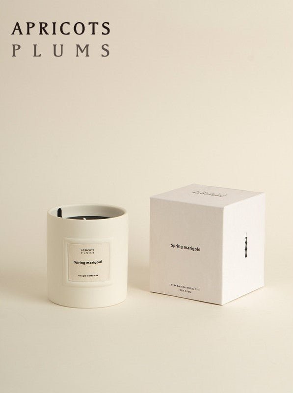 Ceramic Handmade Scented Candle