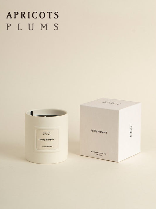 Ceramic Handmade Scented Candle