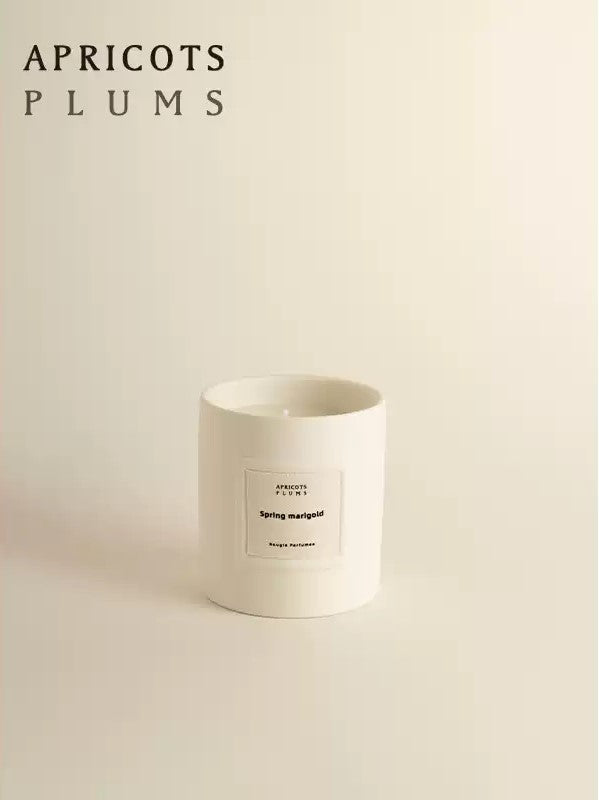 Ceramic Handmade Scented Candle